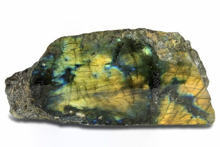 Single Side Polished Labradorite Section - Madagascar #295483